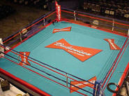 TKO Ring Rental